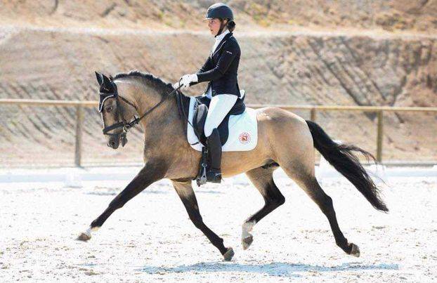 Cavalla Lusitano In vendita 2022 Perlino ,  ESPIRITO DA MATA