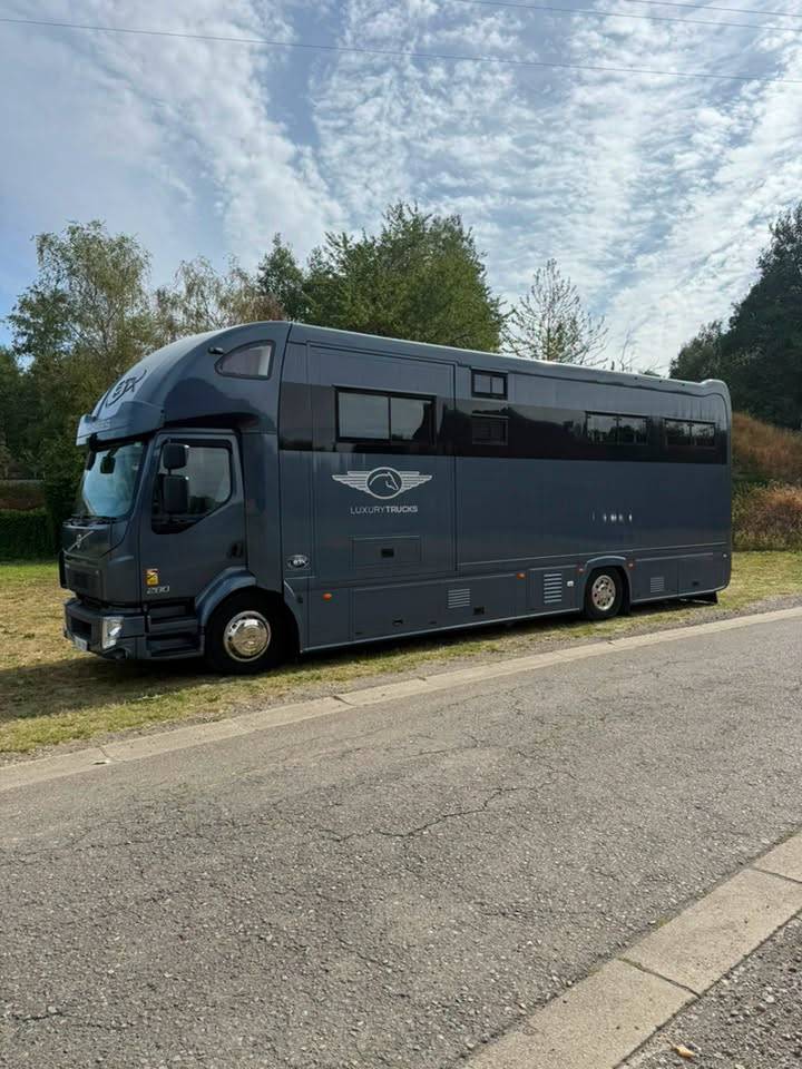 Camion per Cavalli STX volvo fl 2016 Nuovo