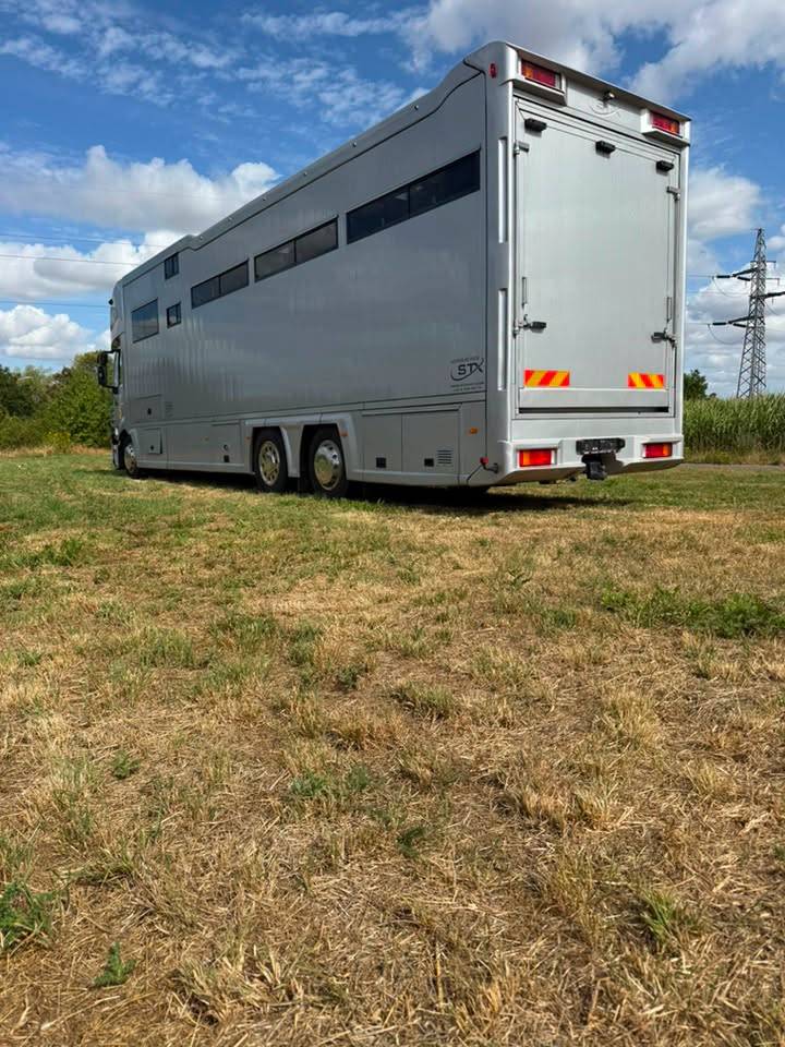 Camion per Cavalli STX iveco stalis 2011 Occasione