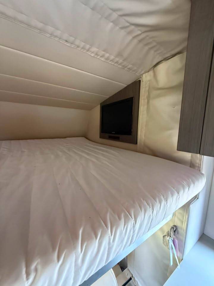 Camion per Cavalli STX iveco stalis 2011 Occasione