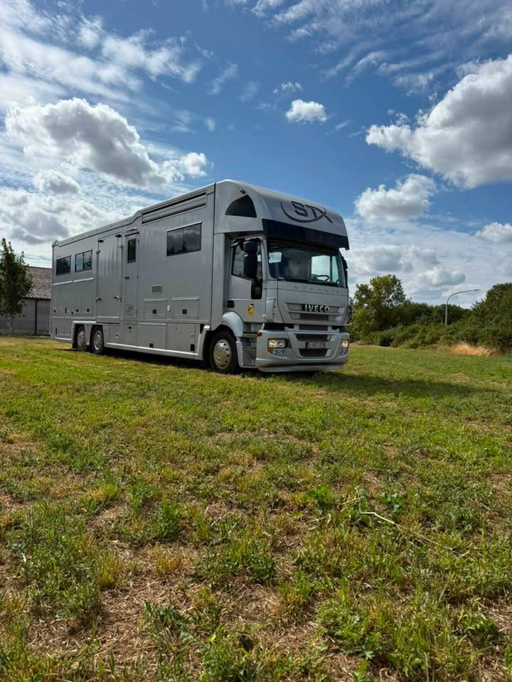 Camion per Cavalli STX iveco stalis 2011 Occasione