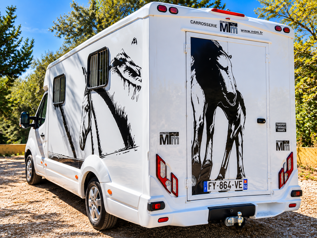 Van per Cavalli Renault Master filovan S5  2021 Occasione