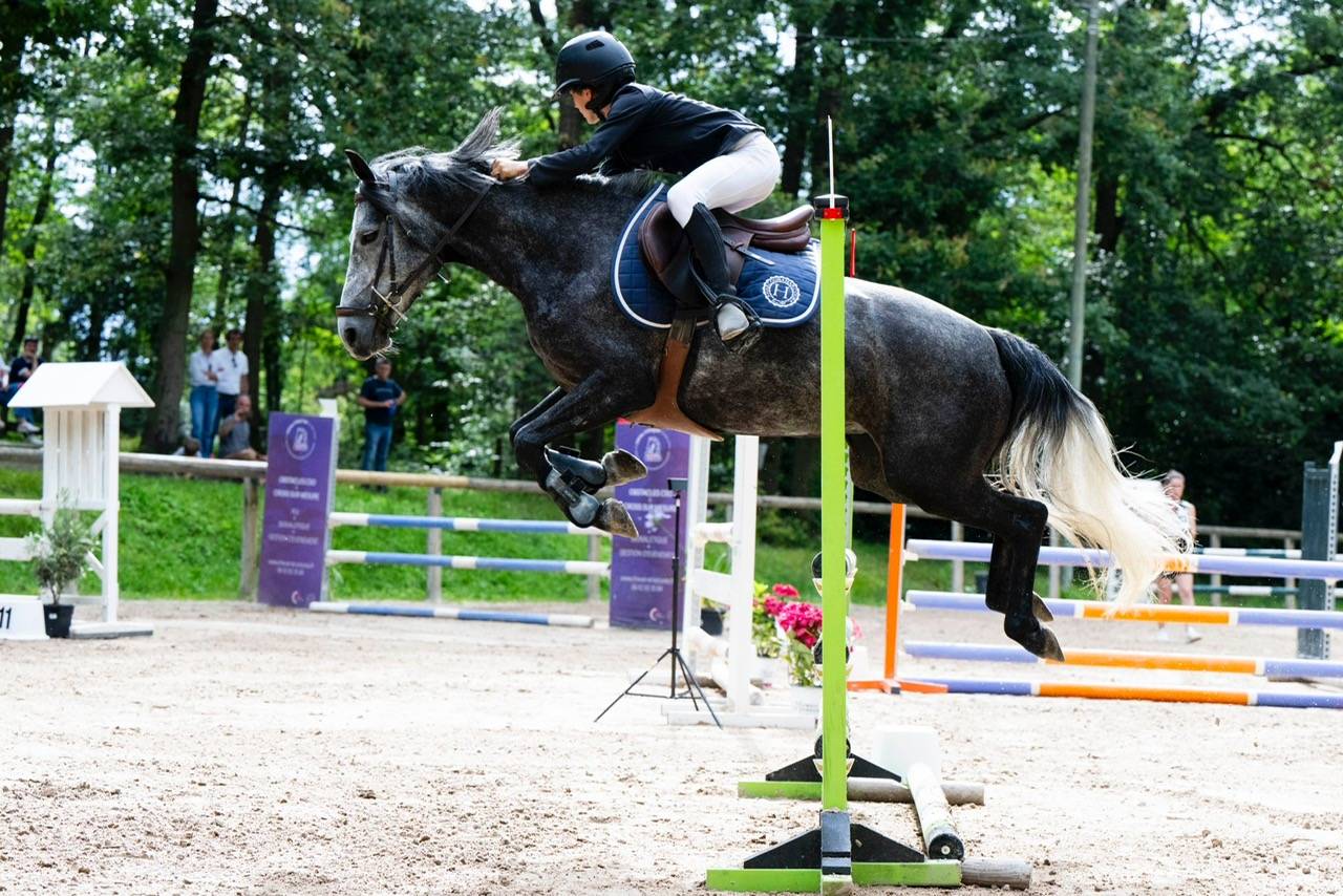 Cavalla PFS Pony Francese da Sella In vendita 2018 Grigio ,  Juke Box du Buhot, PFS