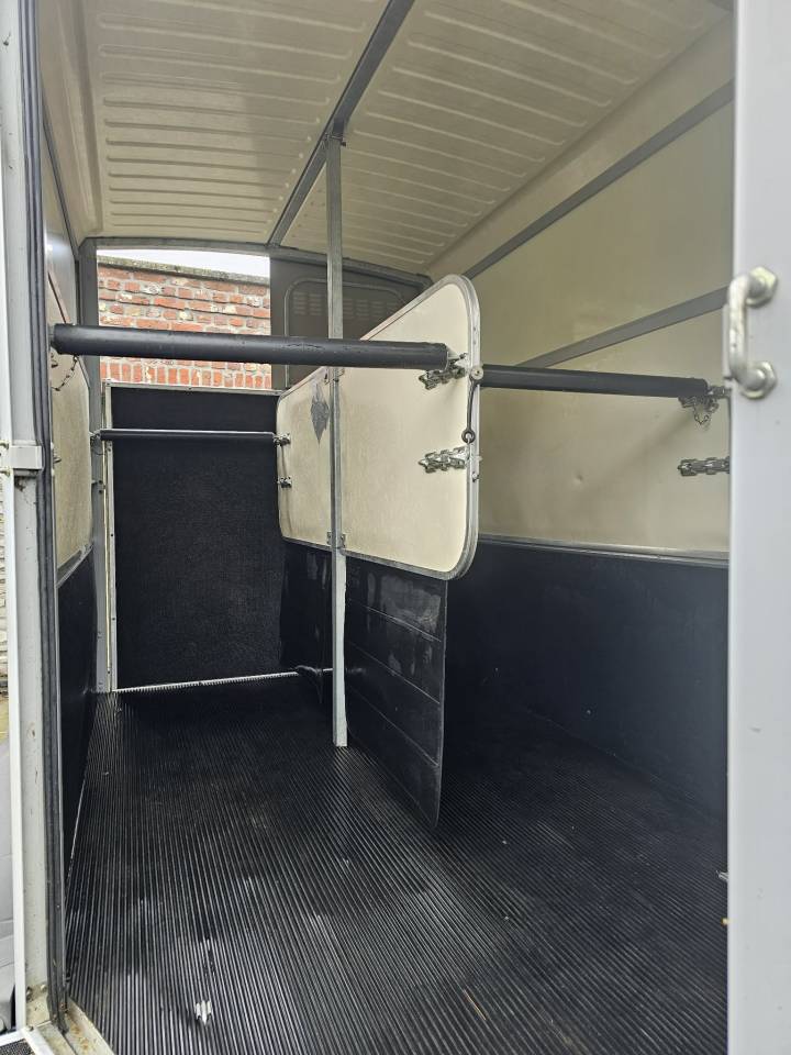 Trailer Ifor Williams HB511 2 Cavalli 2019 Occasione