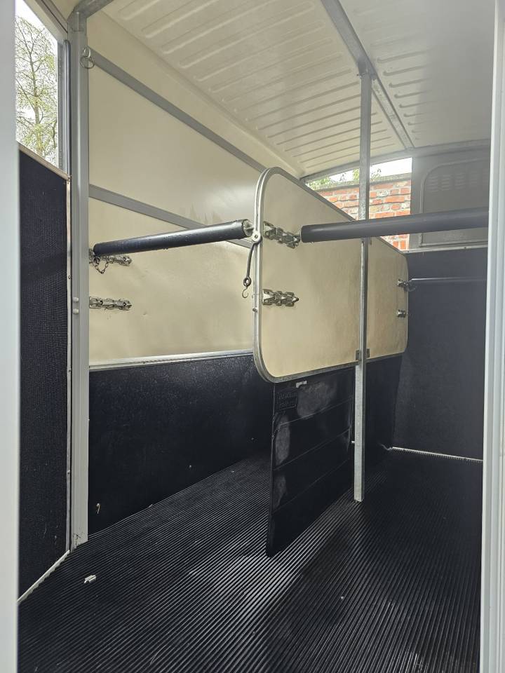 Trailer Ifor Williams HB511 2 Cavalli 2019 Occasione