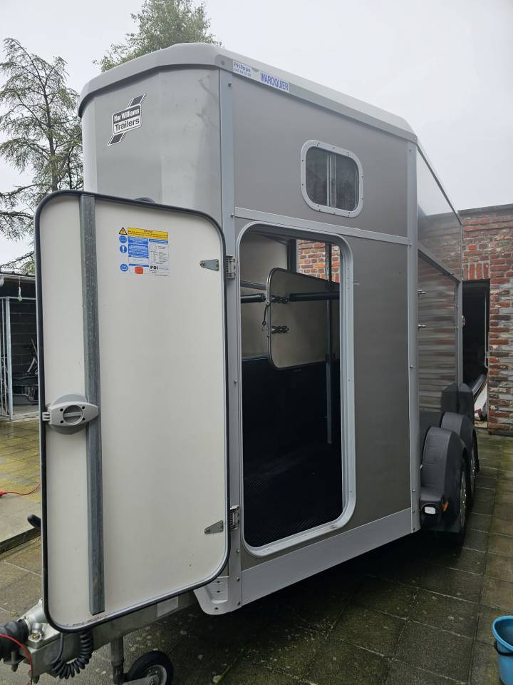 Trailer Ifor Williams HB511 2 Cavalli 2019 Occasione