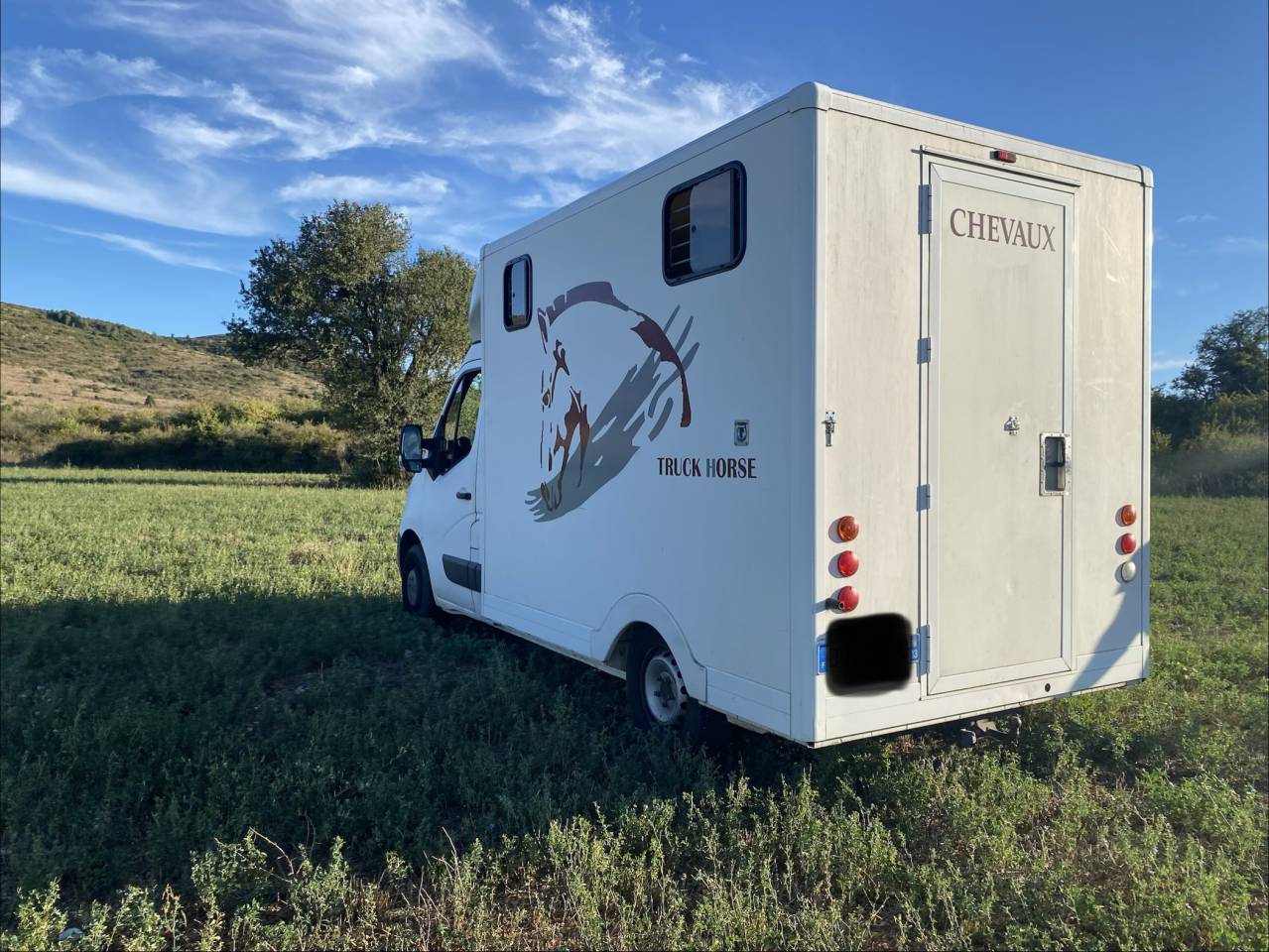 Van per Cavalli Renault 2.3 DCI  2010 Occasione