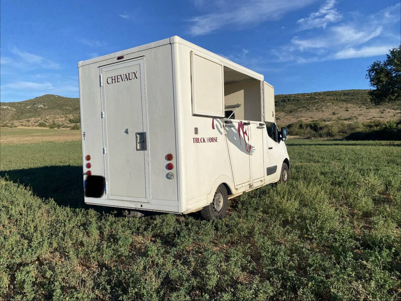 Van per Cavalli Renault 2.3 DCI  2010 Occasione