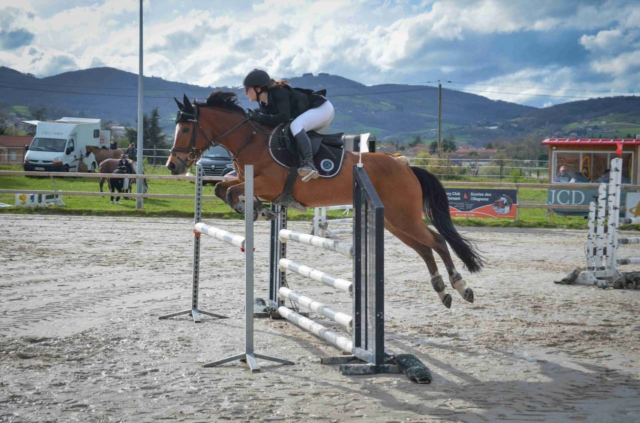 Castrone PFS Pony Francese da Sella In vendita 2017 Baio ,  Lennicha de Florys