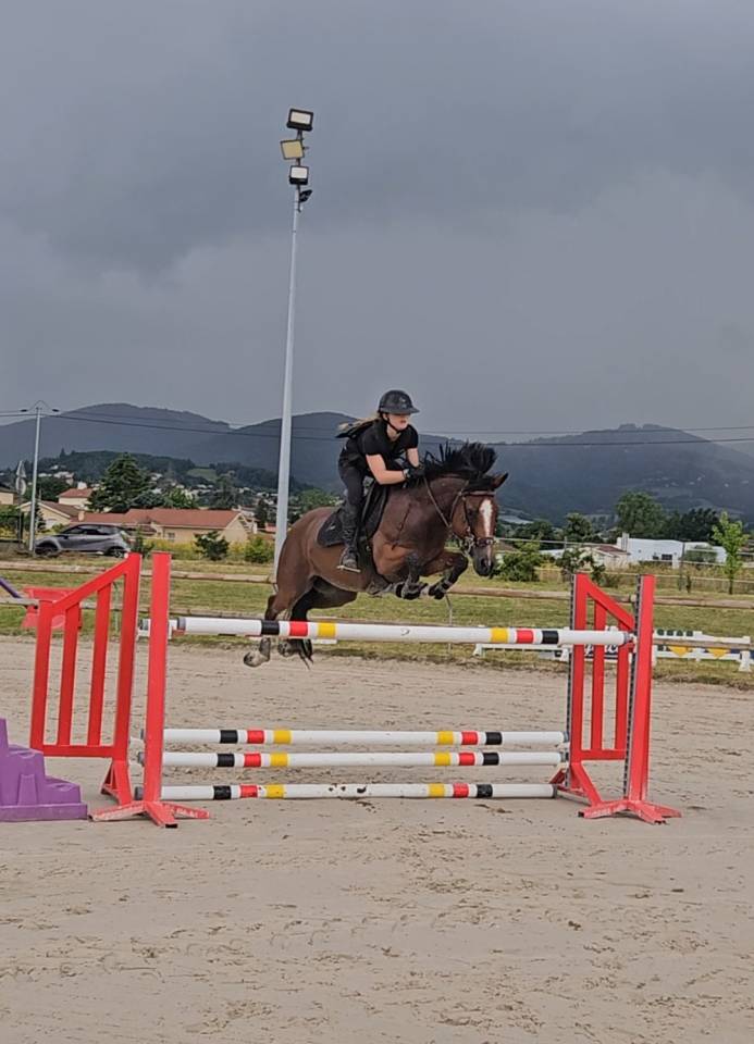 Castrone PFS Pony Francese da Sella In vendita 2017 Baio ,  Lennicha de Florys