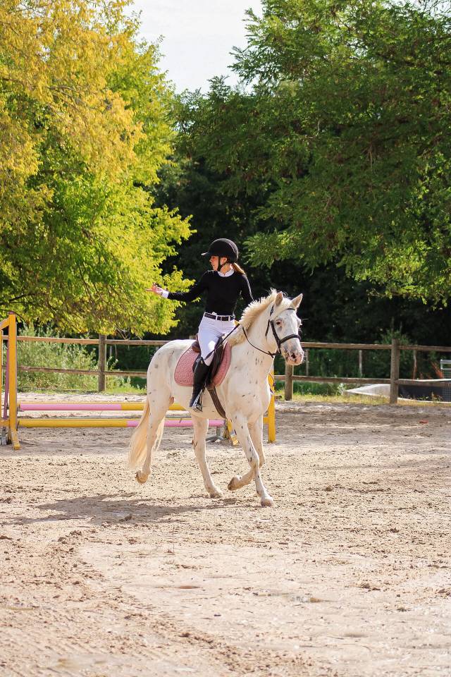 Castrone Connemara In vendita 2022 Appaloosa