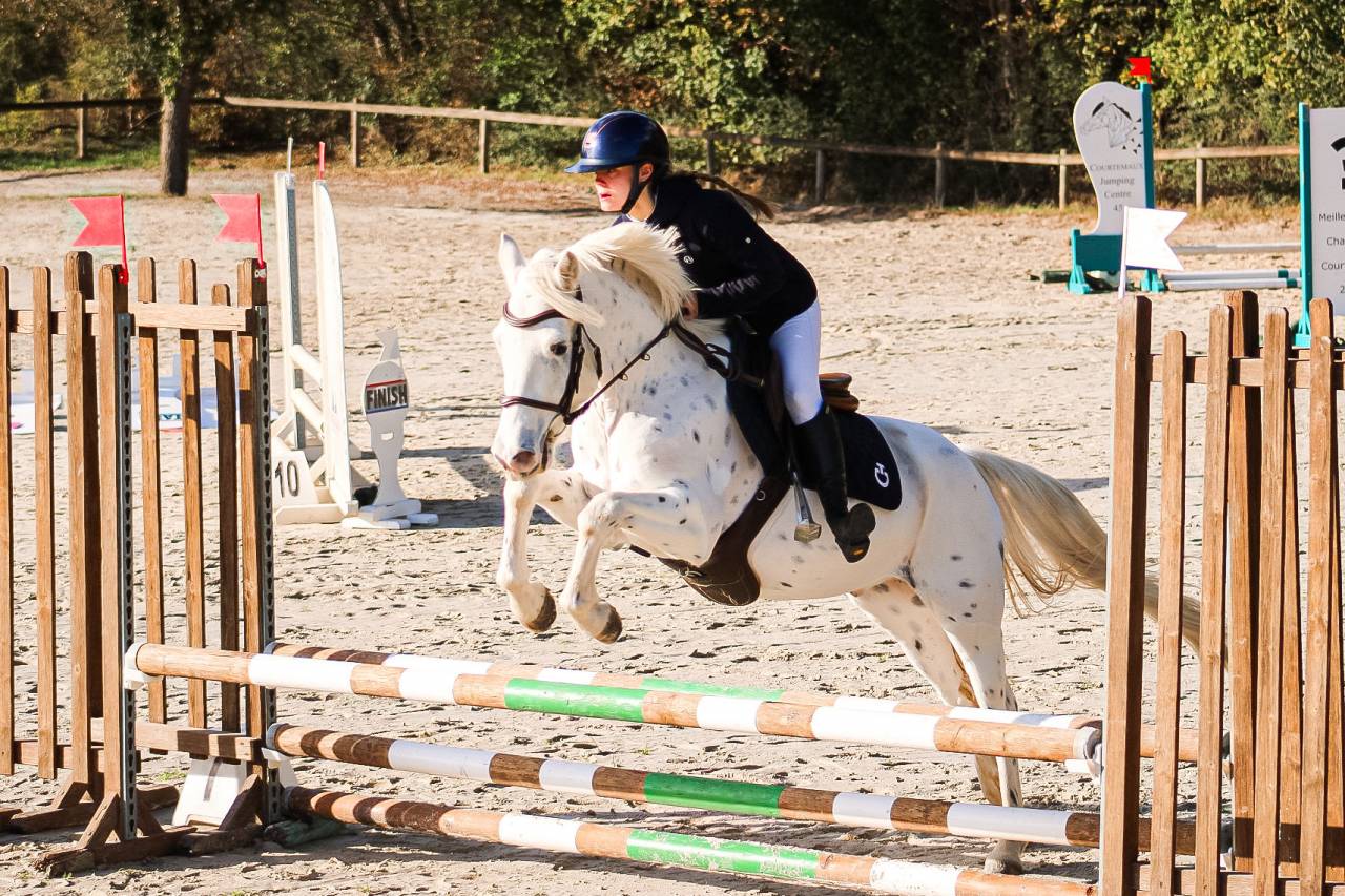 Castrone Connemara In vendita 2022 Appaloosa