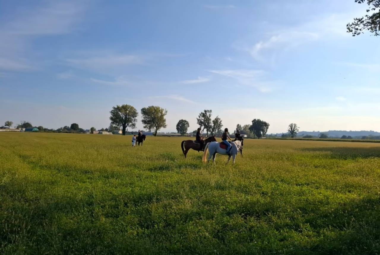 Pensione cavalli naturale vicino a Milano e Lodi