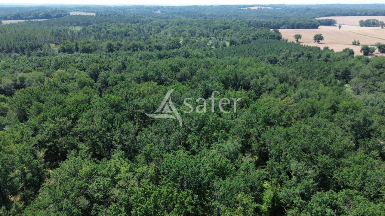Azienda forestale In vendita Dordogne