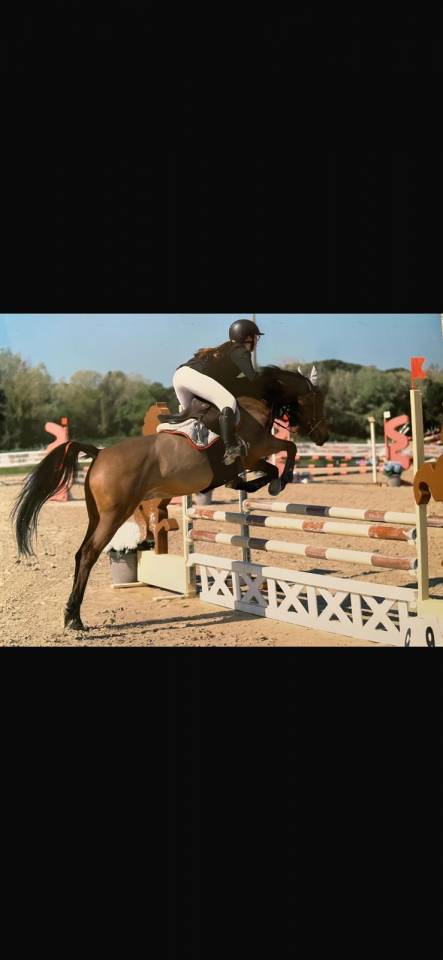 vendo doppio pony magnifico 