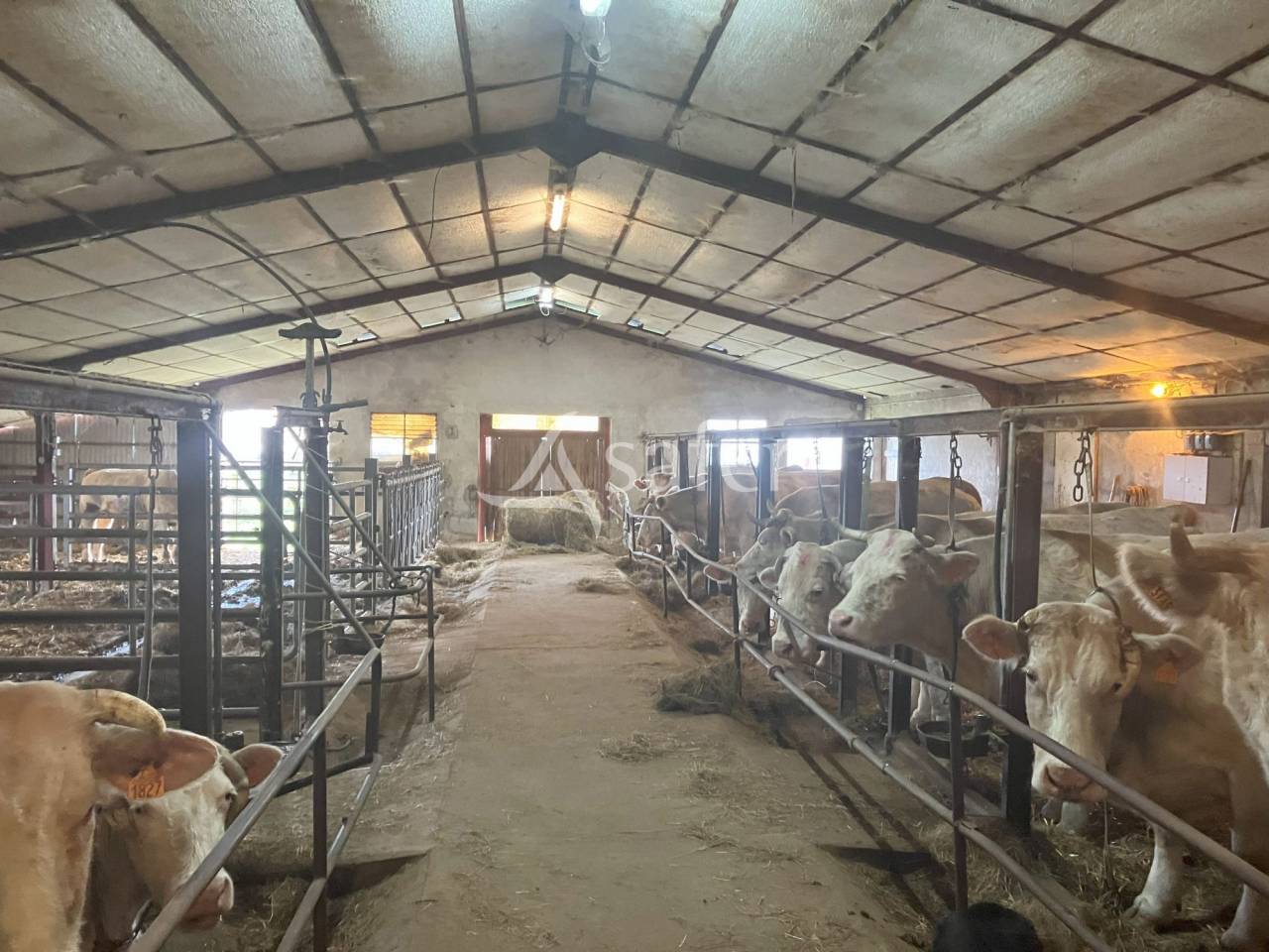 Azienda agricola In vendita Sa&ocirc;ne-et-Loire