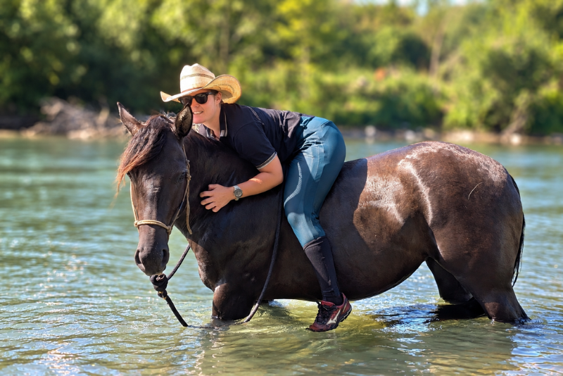 Cavalla Quarter Horse In vendita 2020 Grullo ,  JAZ GC DE PLATA