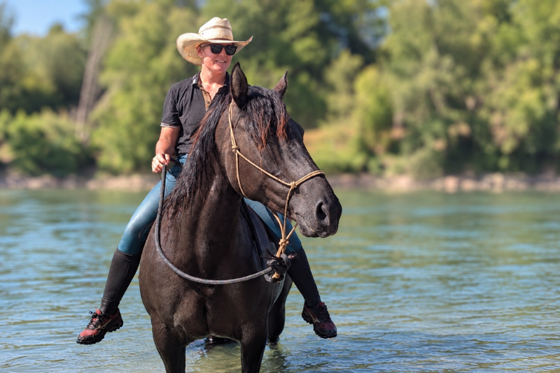 Cavalla Quarter Horse In vendita 2020 Grullo ,  JAZ GC DE PLATA