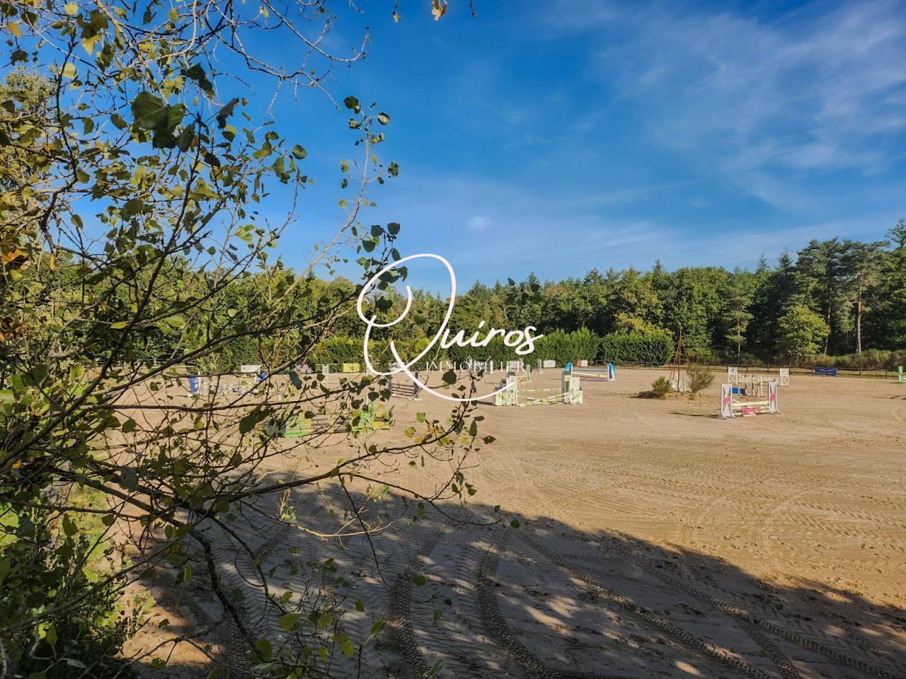 Propriet&agrave; equestre In vendita Loir-et-Cher