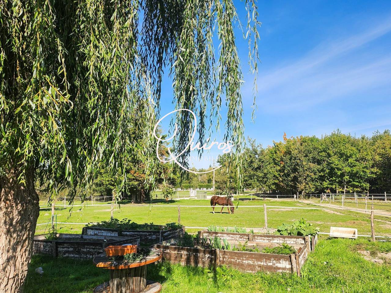 Propriet&agrave; equestre In vendita Loir-et-Cher