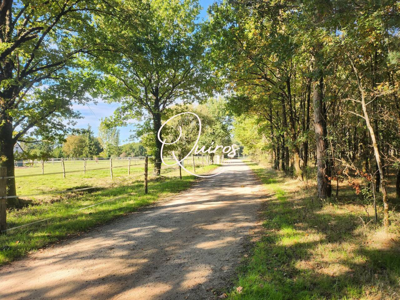 Propriet&agrave; equestre In vendita Loir-et-Cher