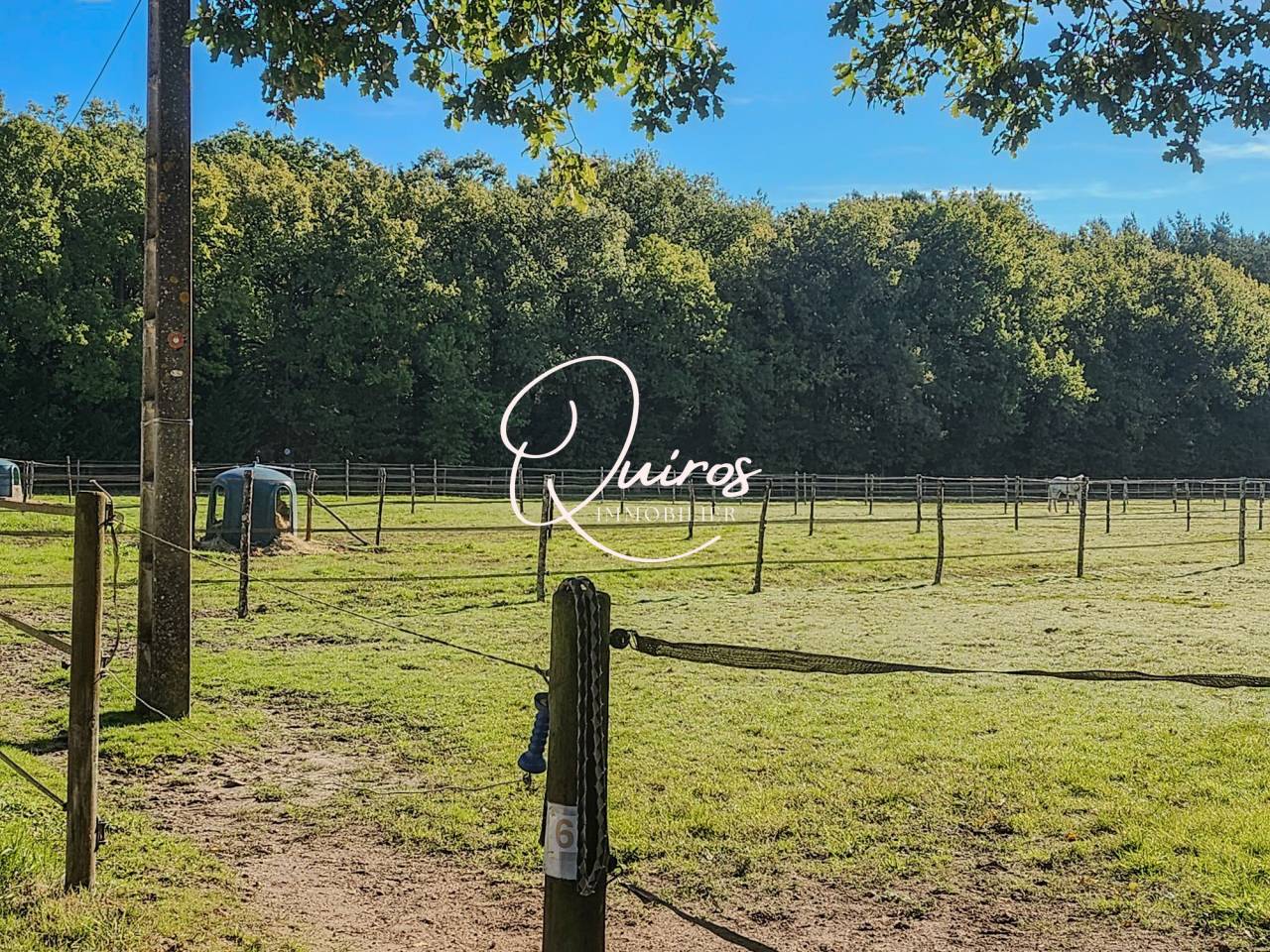 Propriet&agrave; equestre In vendita Loir-et-Cher