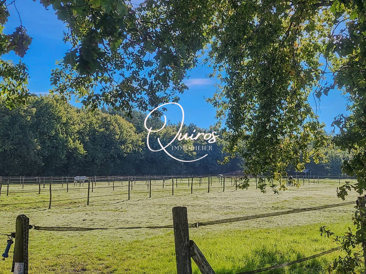 Propriet&agrave; equestre In vendita Loir-et-Cher