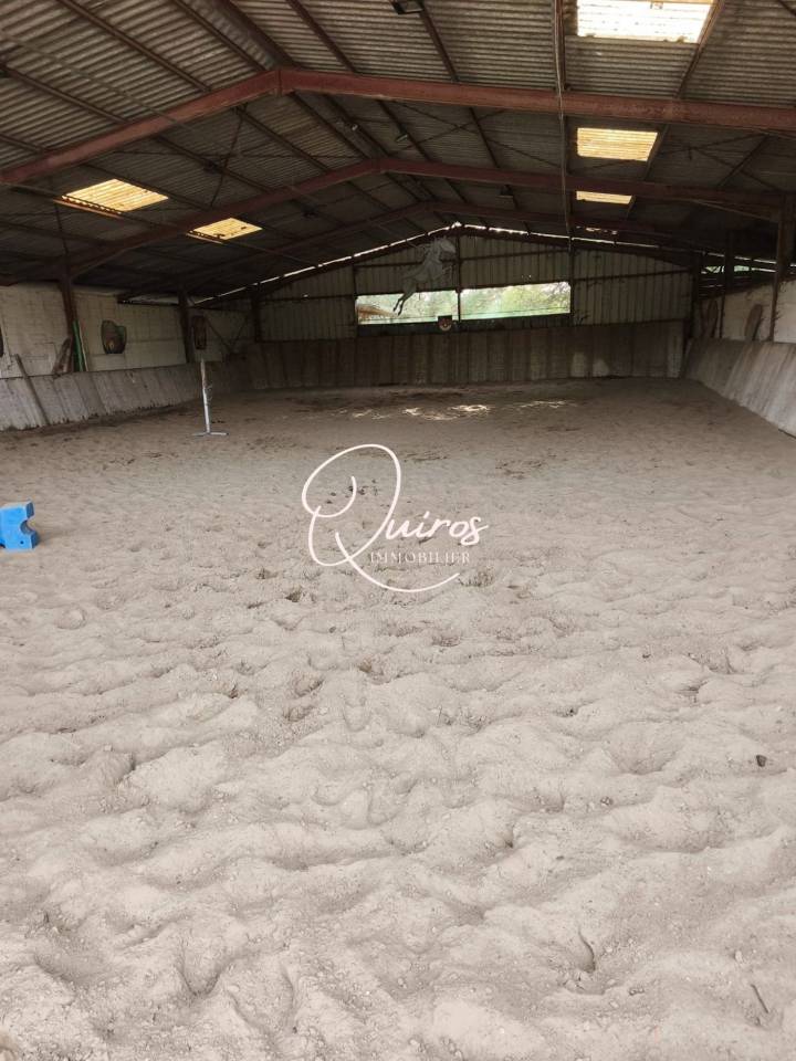Propriet&agrave; equestre In vendita Loir-et-Cher