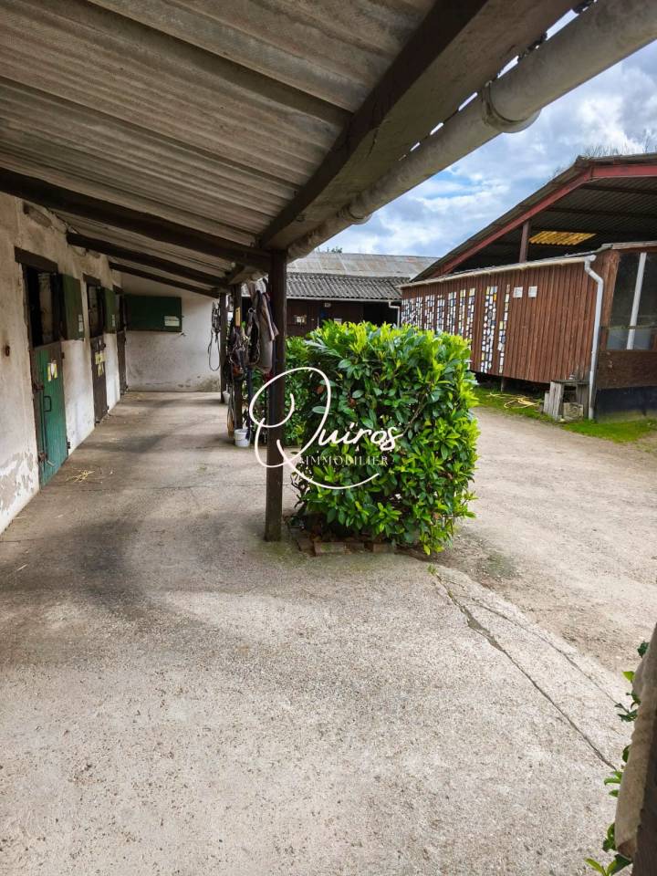 Propriet&agrave; equestre In vendita Loir-et-Cher