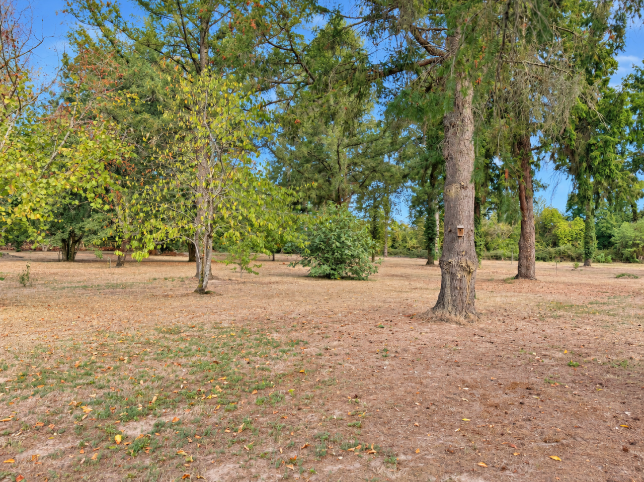 Propriet&agrave; equestre In vendita Gironde