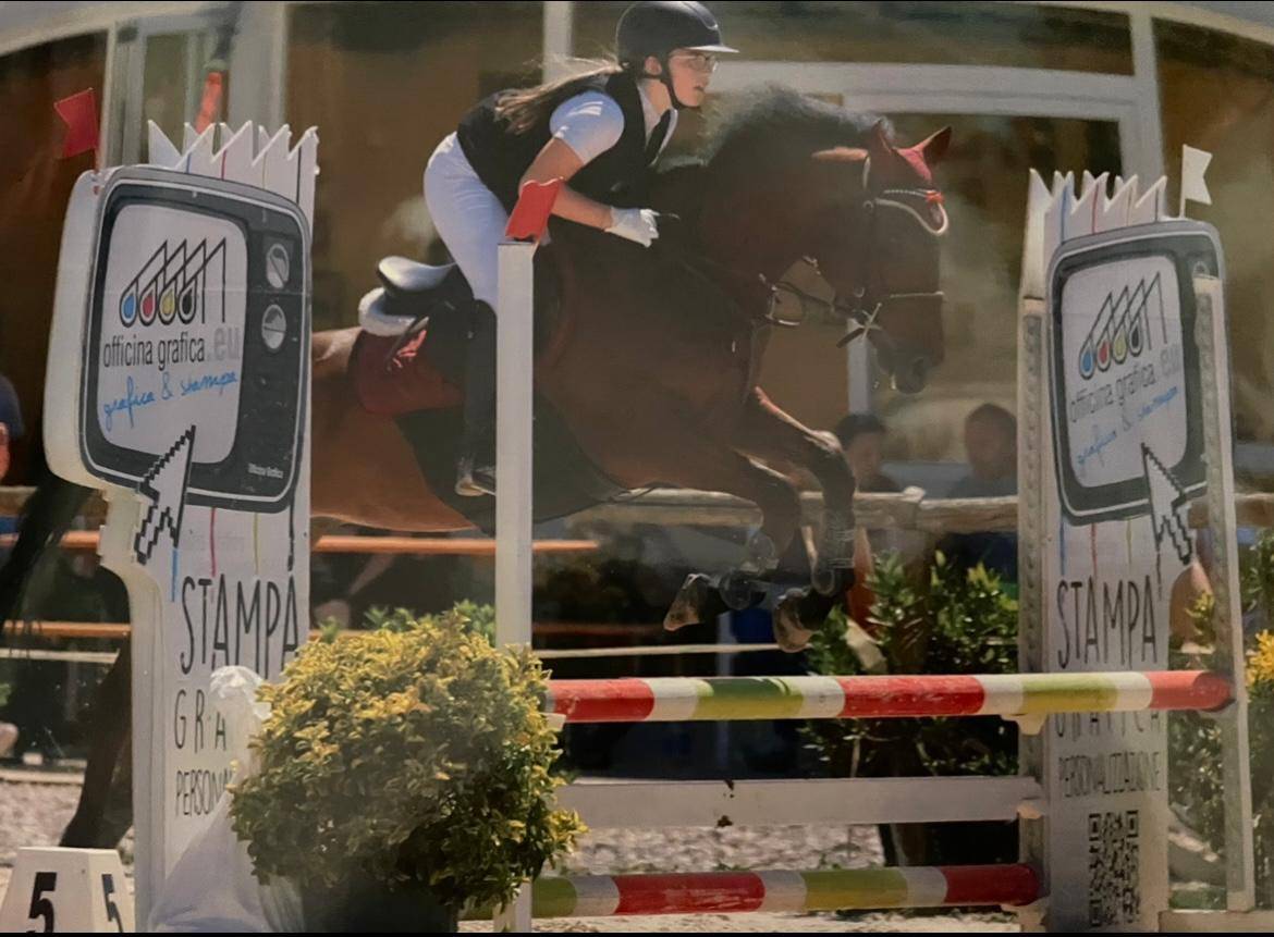 vendo amabile doppio pony