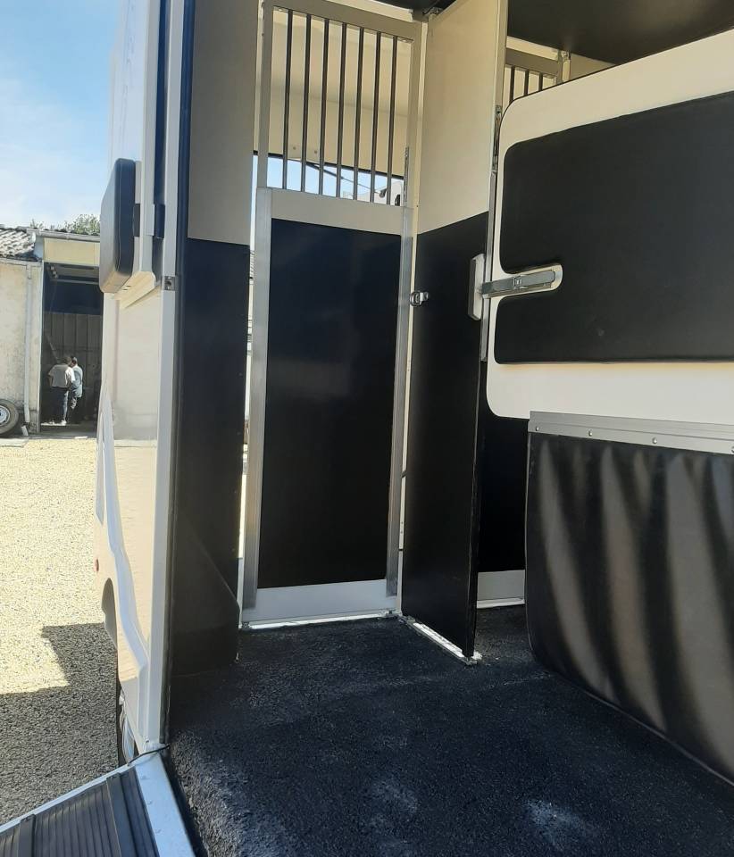 Van per Cavalli Renault Master 2022 Occasione