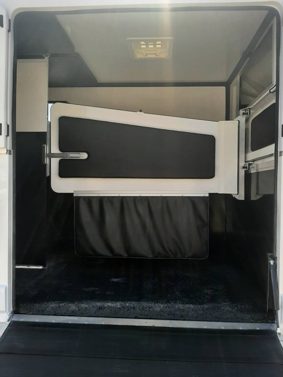 Van per Cavalli Renault Master 2022 Occasione