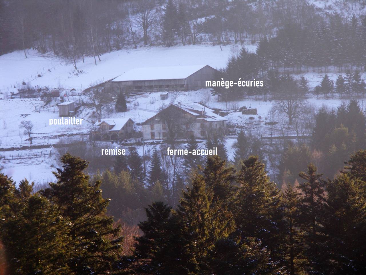 Altro - Altro contratto Altro - Vosges Francia