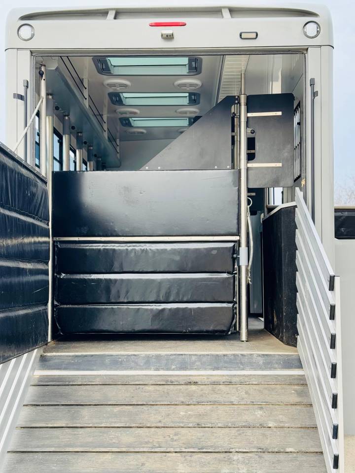 Camion per Cavalli Volvo CONCEPTPGO 2023 Nuovo