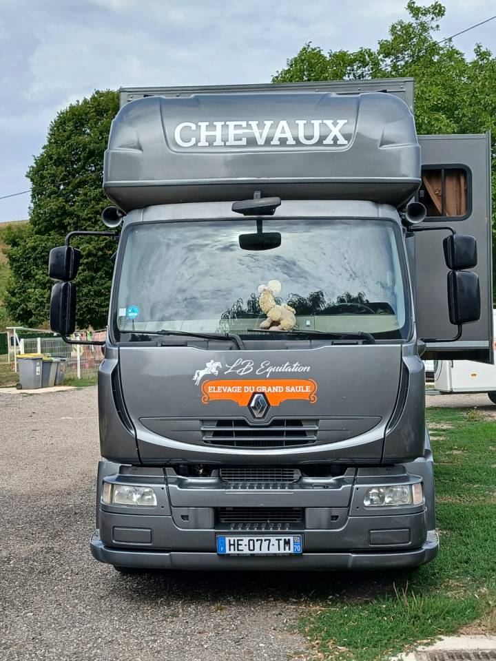 Camion per Cavalli Renault MILDIUM 280 DXI 2008 Occasione