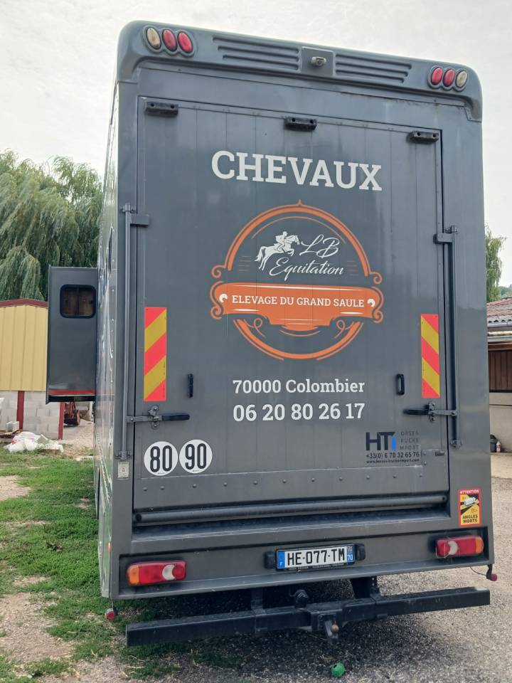 Camion per Cavalli Renault MILDIUM 280 DXI 2008 Occasione