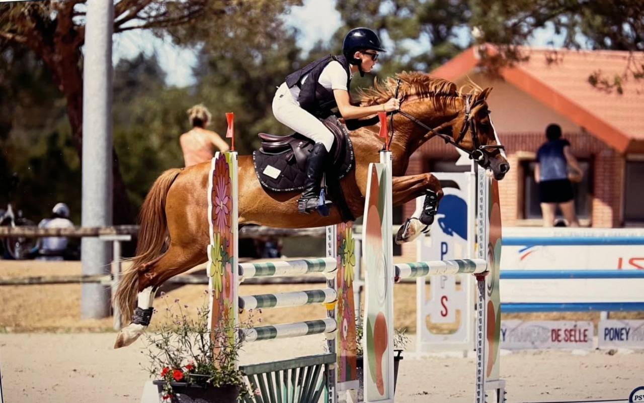Castrone PFS Pony Francese da Sella In vendita 2015 Sauro
