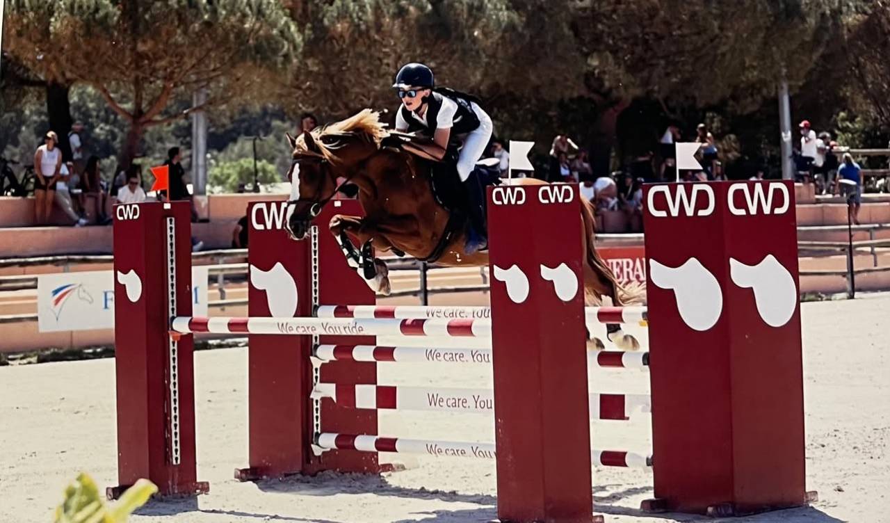 Castrone PFS Pony Francese da Sella In vendita 2015 Sauro