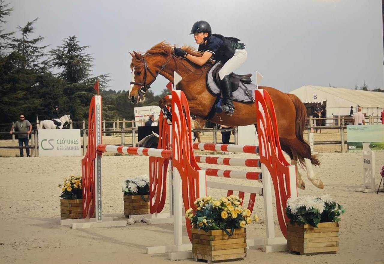 Castrone PFS Pony Francese da Sella In vendita 2015 Sauro
