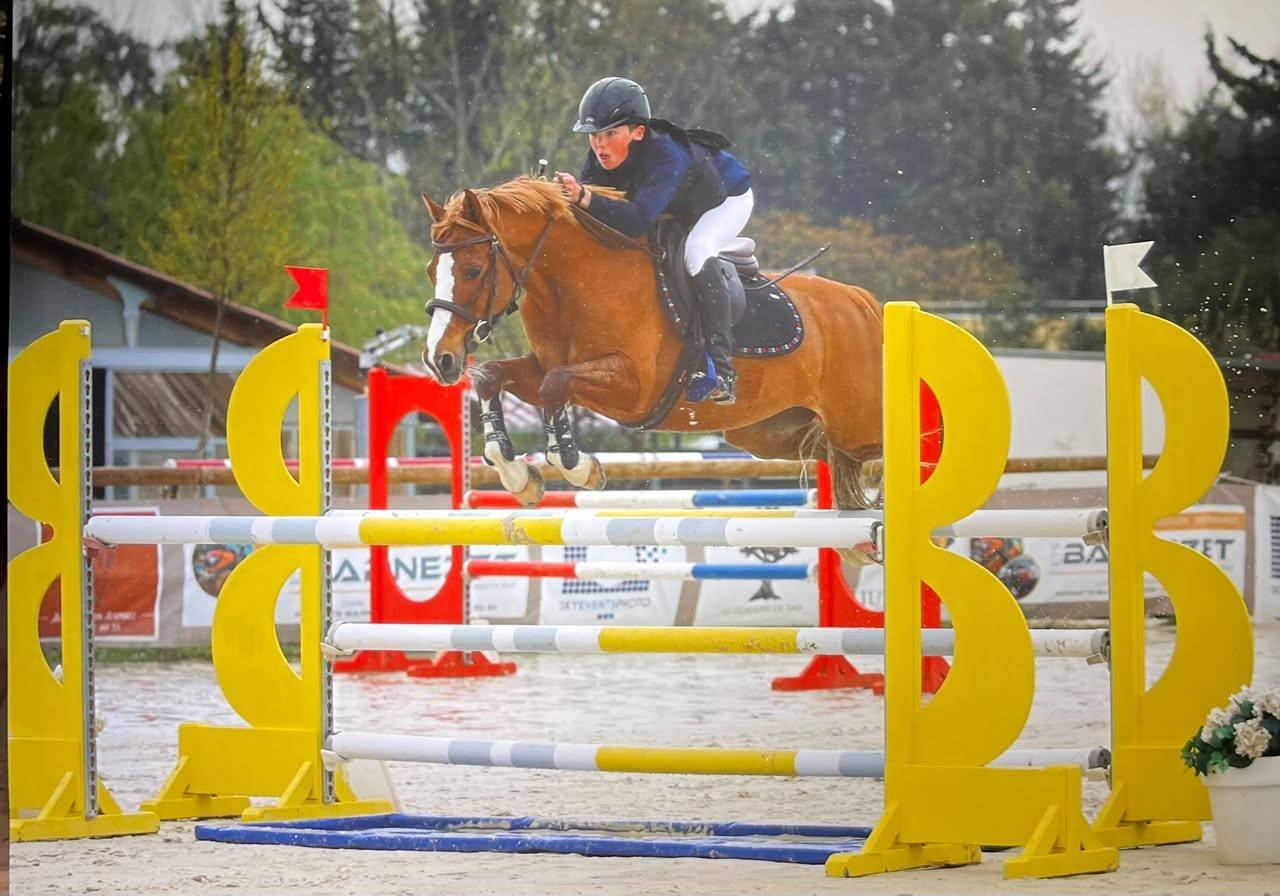 Castrone PFS Pony Francese da Sella In vendita 2015 Sauro