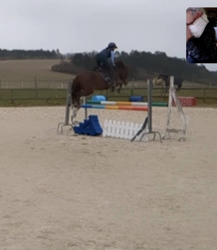 Cavalla New Forest In vendita 2021 Sauro