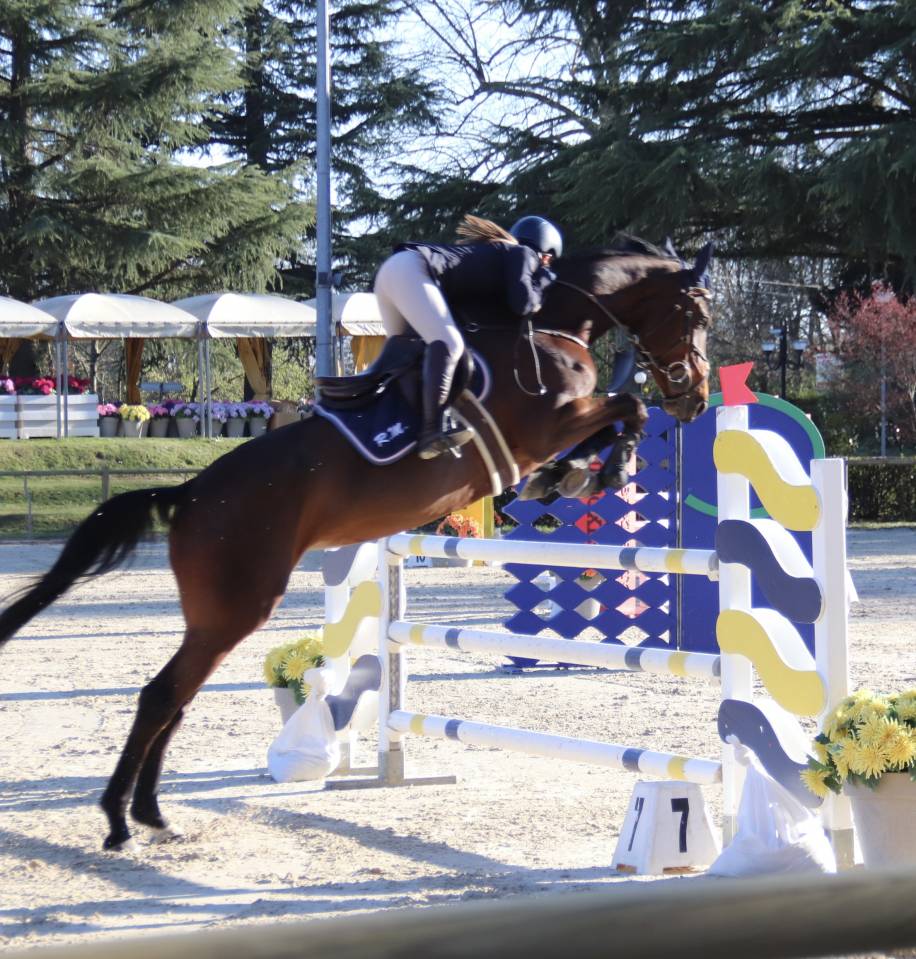 AFFARE! Cavalla con potenziale 2018