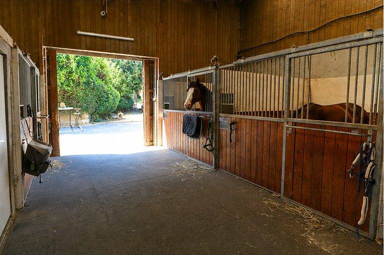 Alloggio equestre In vendita Marne