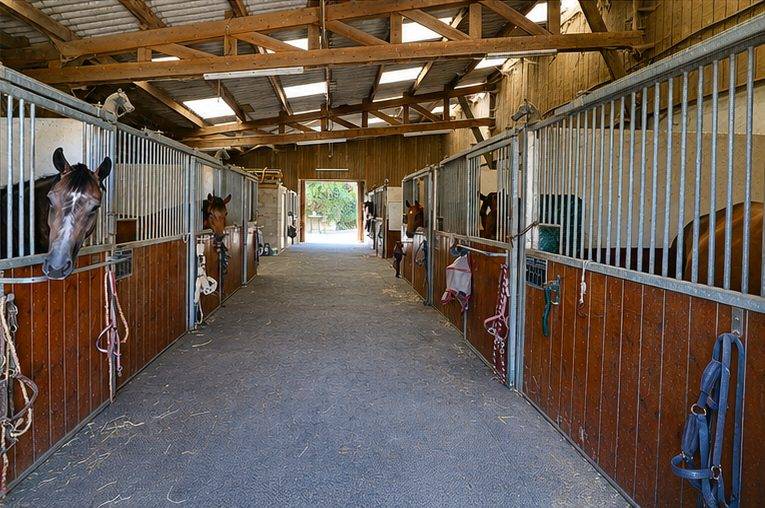 Alloggio equestre In vendita Marne