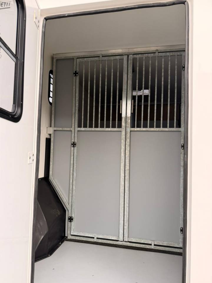Van per Cavalli AP Petit Renault Master 2021 Occasione