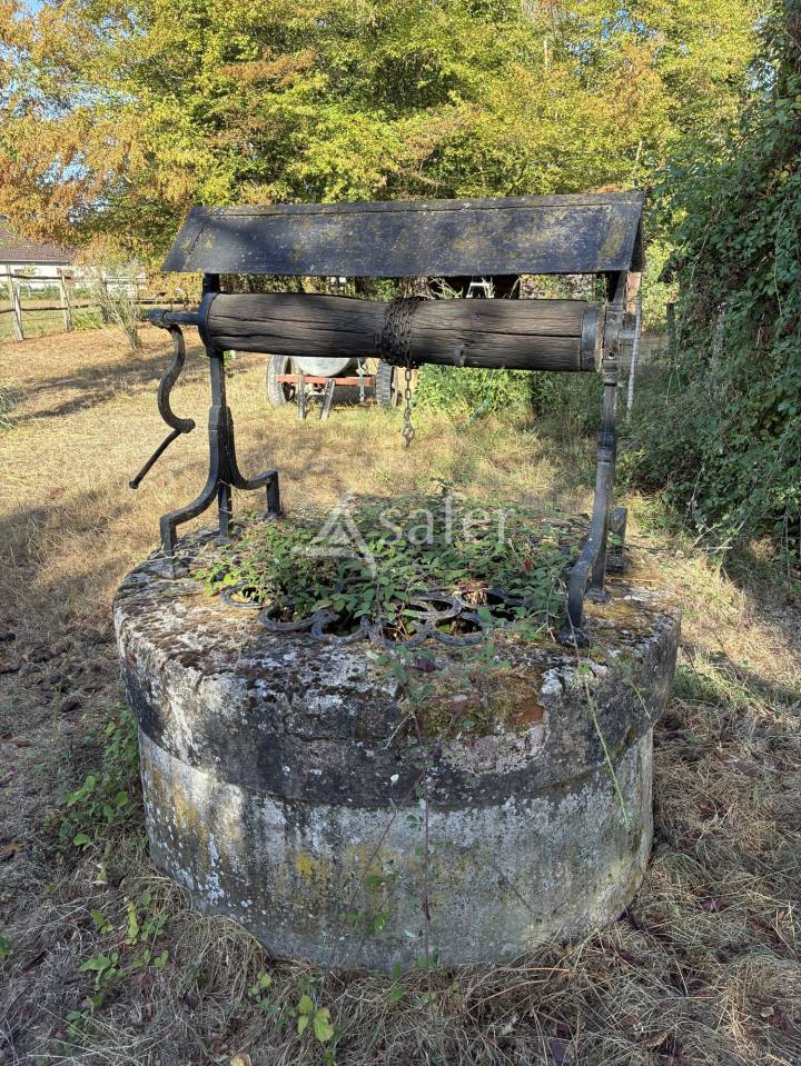 Propriet&agrave; equestre In vendita Sa&ocirc;ne-et-Loire