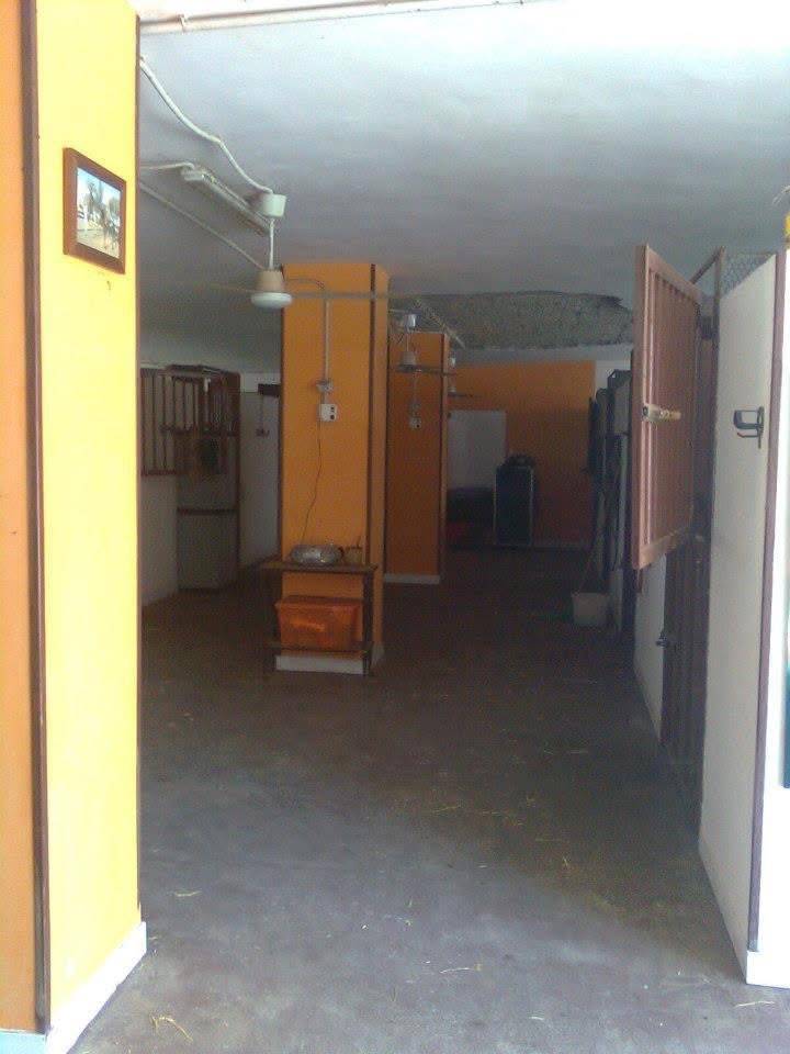     ? Cercasi Istruttore 2&deg; Livello &ndash; Foggia
