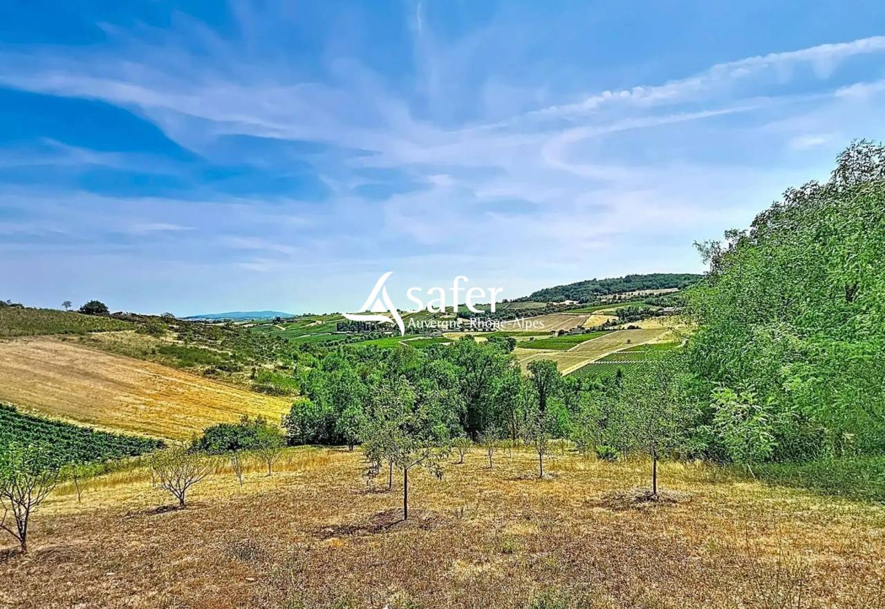 Propriet&agrave; rurale In vendita Rh&ocirc;ne