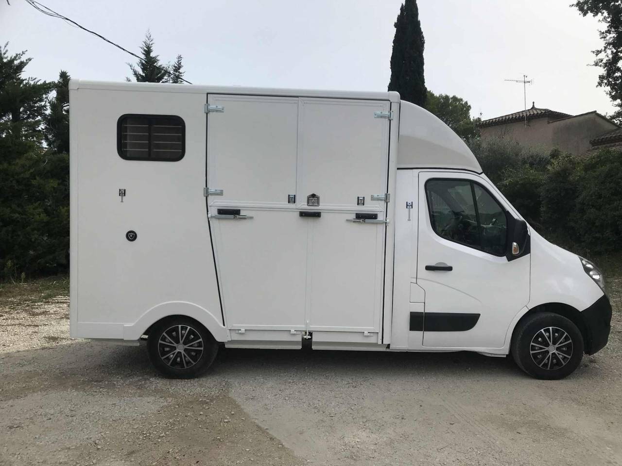 Van per Cavalli Renault  2018 Occasione